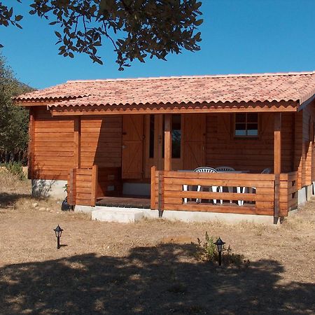Chalet Climatise Porticcio Corse Fontanaccio Eksteriør billede